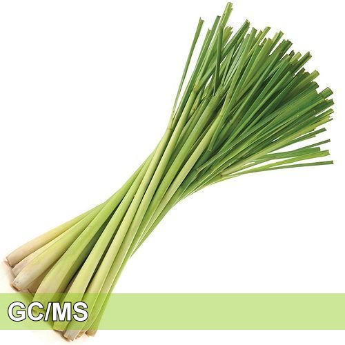 Lemongrass-檸檬香茅
